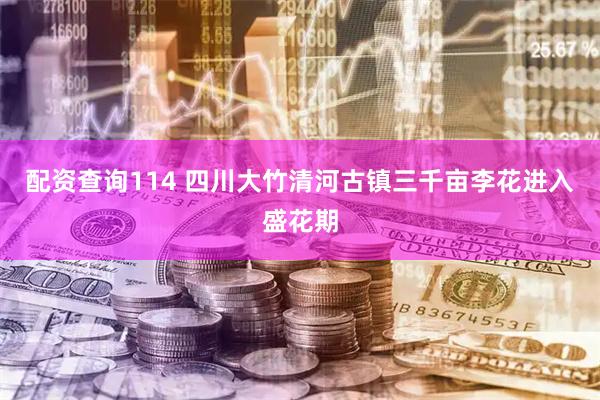 配资查询114 四川大竹清河古镇三千亩李花进入盛花期