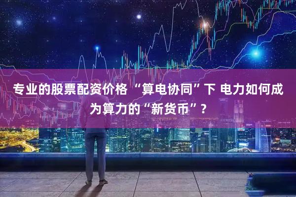 专业的股票配资价格 “算电协同”下 电力如何成为算力的“新货币”？