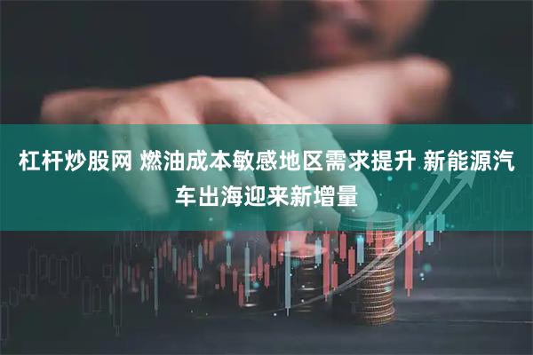 杠杆炒股网 燃油成本敏感地区需求提升 新能源汽车出海迎来新增量