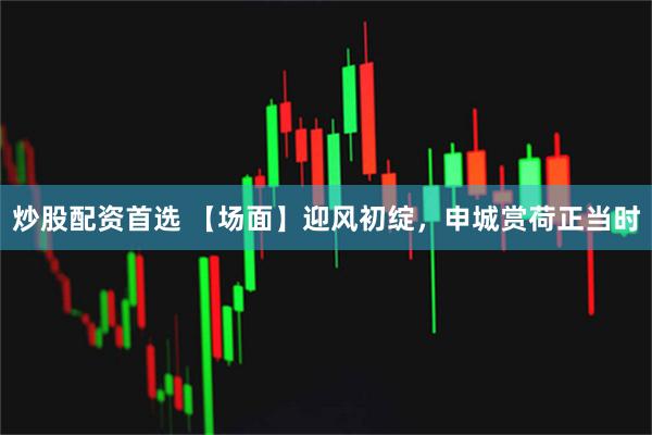 炒股配资首选 【场面】迎风初绽，申城赏荷正当时